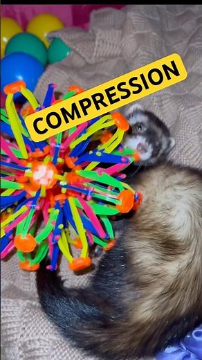 Endogenous Collapse