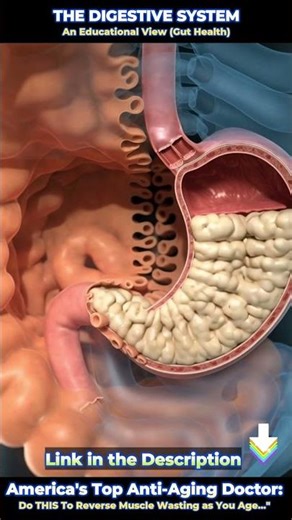 #MedicalEducation #Gastroenterology #AnatomyEducation