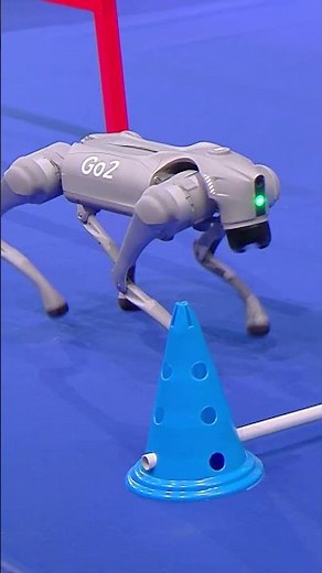 This robot is a NINJA WARRIOR! 🤯