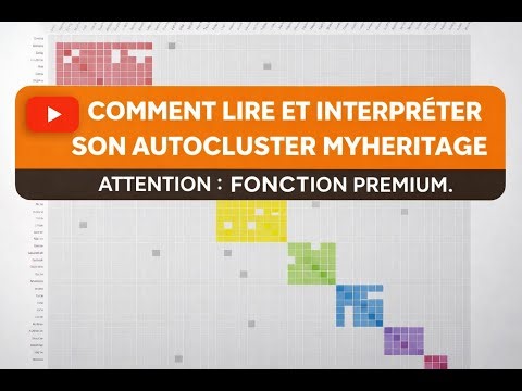 Comment lire et interpréter son autocluster MyHeritage ?
