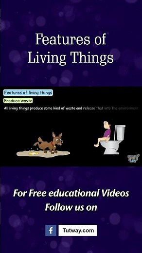 Features of Living Things | Living Things Characteristics | Life Span, Reproduction | Science#shorts