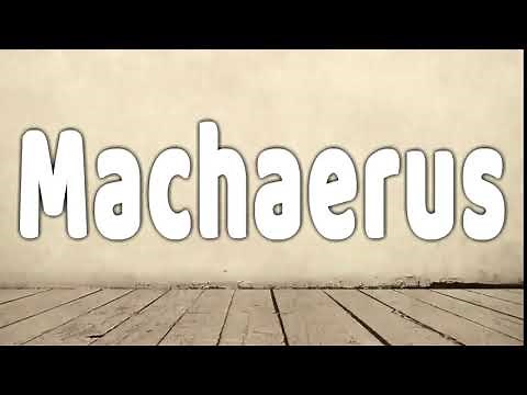 How to Pronounce Machaerus