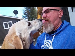 French Kissing a Dog