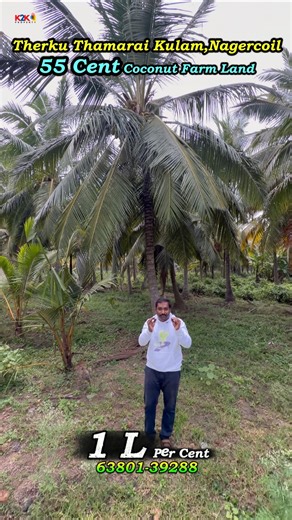 “55 cents coconut farm in Nagercoil! Perfect investment spot with road access. Call K2K now! #Trend