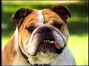 PetSmart - "The PetSmart Price" (Commercial - 1995)