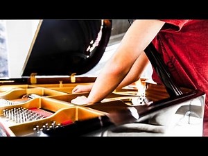 David Guetta - Titanium ft. Sia Piano Cover