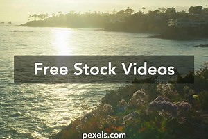 Free Summer Fun Backgorounds And Wallpaper Videos