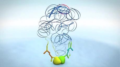 邻近连接技术-proximity ligation assay (PLA)，检测低丰度蛋白互作的方法