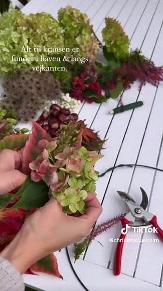 Lav din egne fine efterårskrans. 🍁🍃🍂 Hvad du skal bruge: - Blade og blomster - En havesaks - Grøn stålstråd - En ring (jeg har snoet min sammen ud af en tyk rulle ståltråd købt på en planteskole, men man kan også købe en decideret metalring til formålet) - Evt. en limpistol, hvis du vil tilføje f.eks. kastanjer - Et silkebånd tegnestift til ophæng Sådan gør du: - Gå på jagt i naturen efter grønt, blade og blomster til kransen. Alt jeg har brugt er fundet i haven og langs vejkanten. Ellers tag