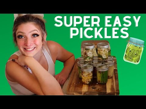 Easiest Pickle Recipe!!! | Irene Walton