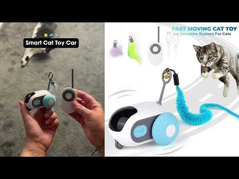 Powerful Motor Cat Toy That Engages Curious Cats for Hours — USB-C Fast Recharge