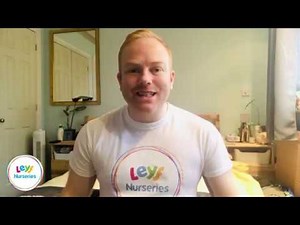 LEYF Home Learning | Pedagogy of Leaves