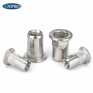 [Hot Item] 316 Stainless Steel Rivet Nuts M4 M5 M6 M8 M10 Nutsert Rivnut Rivet Nut with Knurled Body