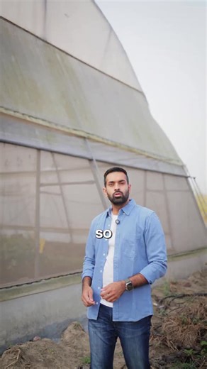 Farmcult - Cultivating For Tomorrow on Instagram: "Government schemes are making hydroponics farming more affordable in India. Get up to 50% subsidy under the NHB scheme for polyhouse and greenhouse construction. Access AIF loans up to ₹2 crore at subsidized interest rates for hydroponic farm setup. Lower investment. Better ROI. Smarter agribusiness. Follow FarmCult for insights on hydroponics subsidy, farm setup, funding, and profitable hydroponic farming in India. . (hydroponics farming, hydro