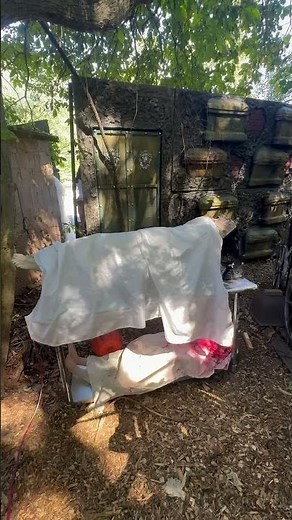 PNEUMATIC Spirit Halloween Levitator Girl at Twisted Trails 2025 - Ty Dr Drew!