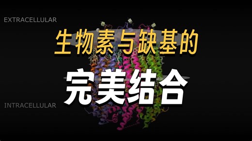 Biotin-炔基，生物素与炔基Alkyne：高特异性结合与点击化学的分子工具箱