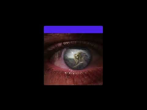 World TV Day 2024 - Official video