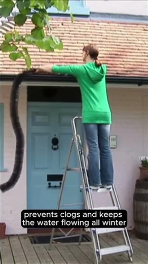 Winter-proof your gutters today with Hedgehog Gutter Brush