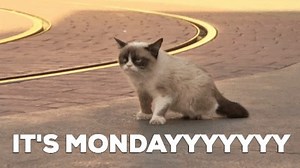 Happy Monday, everyone! | Comms Express