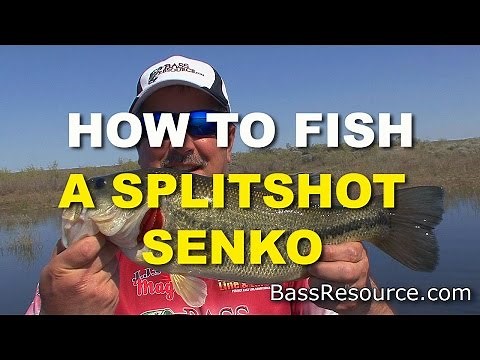 How To Fish A Split Shot Senko | Bass Fishing