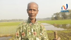 কচ্ছপ কিভাবে ধরতে হয়! কচ্ছপের ব্যবসা। কচ্ছপ শিকারির সাথে একান্ত আলাপ | Noakhali TV Update - নোয়াখালী টিভি আপডেট