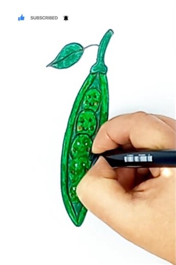 How to draw cute green peas #video #drawing #tinyartist