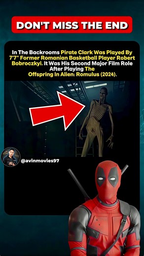 You’ve Seen This 7'7" Actor Before! 👀
