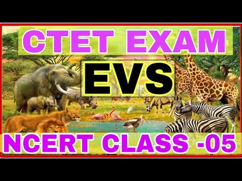 NCERT EVS CLASS 3rd ,4th,5th | संपूर्ण NCERT किताब का निचोड़ | सारा प्रश्न यही से आयेगा |