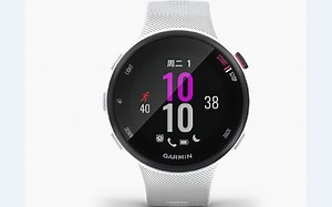 Garmin Forerunner 45s （光白）