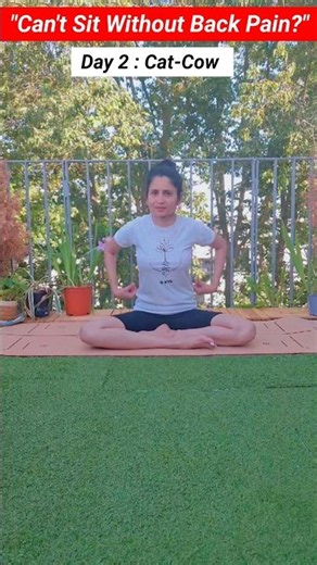 The Stretch Every Desk Worker Needs#yoga #fitness #explore #backpain
