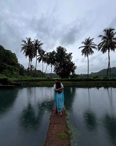the only therapy i need: | Bangla Band Music Heals Us