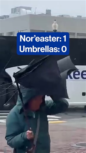 The Weather Channel | Wind gusts: 60 mph. Umbrella survival rate: 0% | Instagram