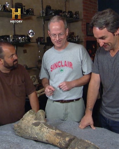 1M views · 28K reactions | A maior "garimpada" da história! 勞 Mike e Frank pagam $450 no que poderia ser um pedaço de pau... mas o perito vai à loucura! É um osso real de dinossauro 秊 de 65 MILHÕES de anos! Um achado tão raro que é considerado "inestimável". A reação de Frank e Mike ao descobrirem o que tinham nas mãos é impagável! #CaçadoresDeRelíquias | HISTORY | Facebook