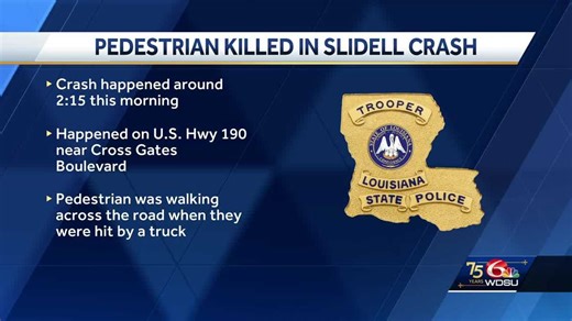 Louisiana State Police investigating a pedestrian hit and killed on U.S. Hwy 190