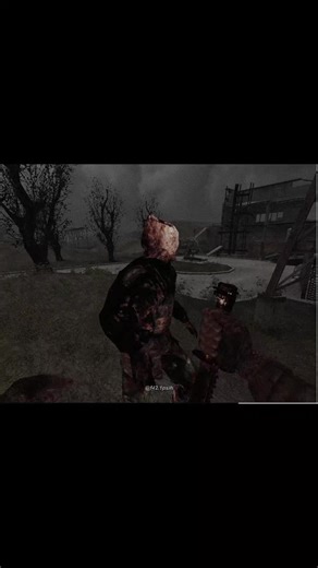 Exploring the Stalker Build and Anomalies