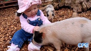 *** Visit our pig collection today *** https://www.sunfrog.com/BestSellerTee/pig-collection | Pig Lovers