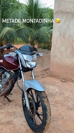 LOBO MAL on Instagram: "Metade montadinho藍❤️‍啕"