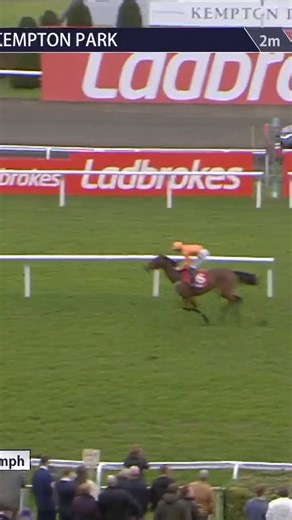 La Luna Artista readily lands the Adonis ✅ | Racing TV