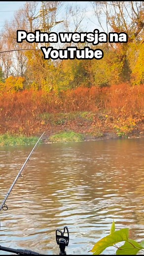#wedkarstwo #wedkarskieprzygodyzbyszka #fishing #feeder #kleń #rzeka #methodfeeder | Wędkarskie Przygody Zbyszka