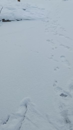 Игорь (@igor_kireev)’s videos with оригинальный звук - Игорь