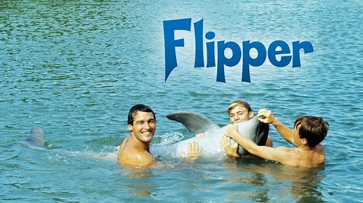 Flipper (1964) - NBC Series - Where To Watch