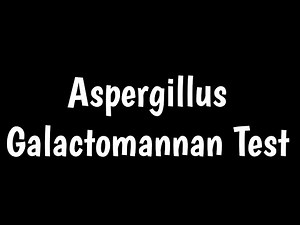 Aspergillus Antigen Test | Aspergillus Galactomannan Test |