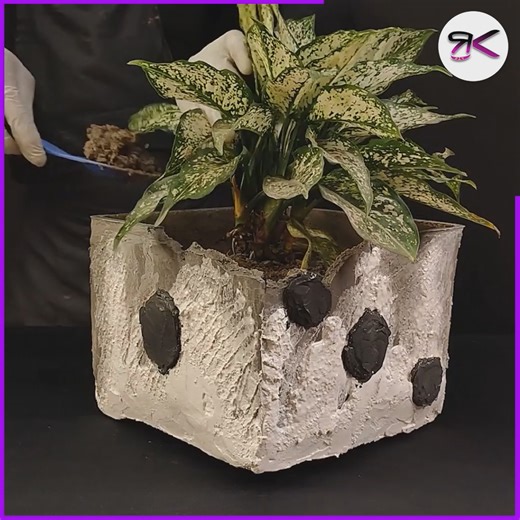 14K views · 103 reactions | Beautiful Cardboard Planter for Plant Lovers  #diy #planter #gardening | RusticKraft | Facebook