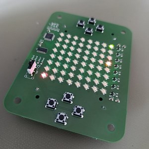 Project Battlesnakes