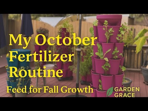 My October Fertilizer Routine | Feeding for Fall Growth 🌿