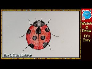 How to Draw a Ladybug Easy Step by Step