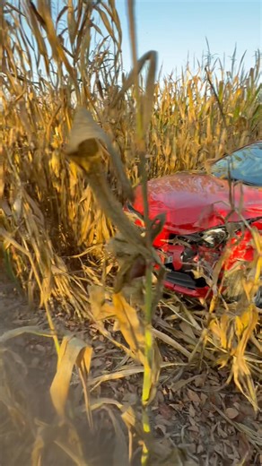 David L. Vaughn Jr. on Reels