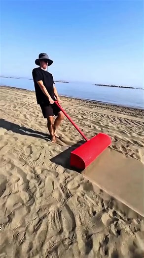 Beach Clean-Up: Discover Hidden Treasures