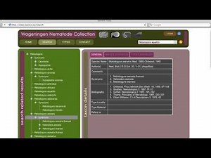 DevExpress Case Study - Evert Wiesenekker