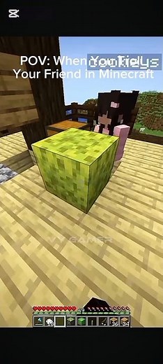 POV:When You Troll Your Friend in Minecraft💀😜 #trollinminecraft #minecraft #vygameryt #vygamer9